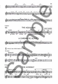 Beginner's Book for the Flute - Part Two