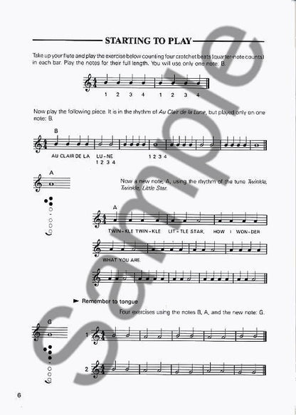 Flute Class - Trevor Wye - Group Teaching Book