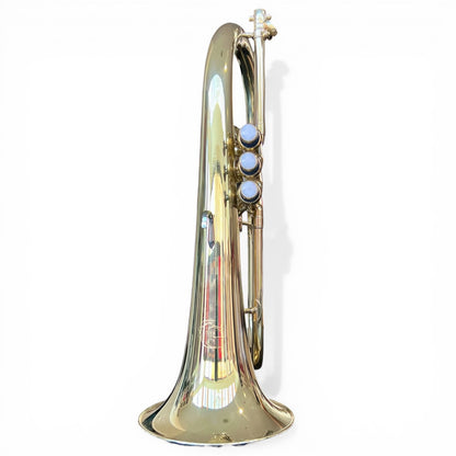 Geneva Academy Bb Flugel Horn Outfit with Case